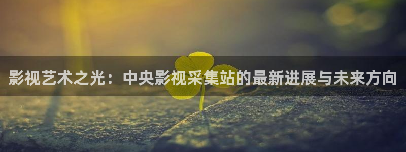 法国伦理影院：影视艺术之光：中央影视采集站的最新进展与未来方向