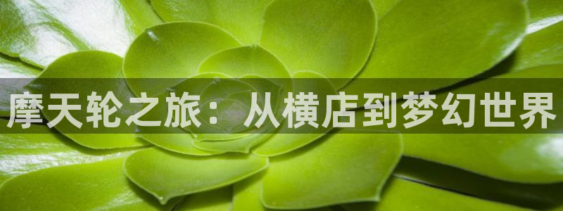 成人伦理影视网：摩天轮之旅：从横店到梦幻世界