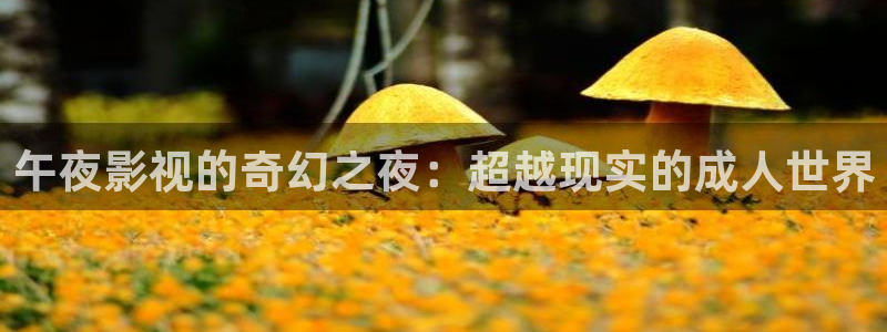 日本伦理视频在线观看：午夜影视的奇幻之夜：超越现实的成人世界