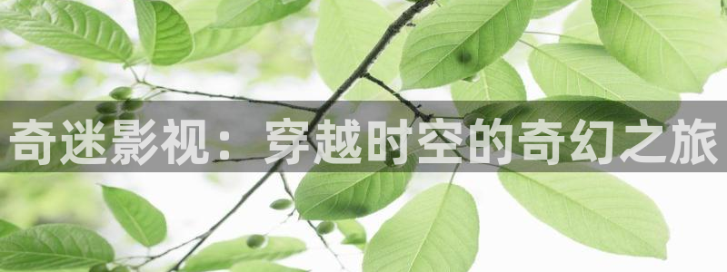 国产伦理视频在线播放：奇迷影视：穿越时空的奇幻之旅