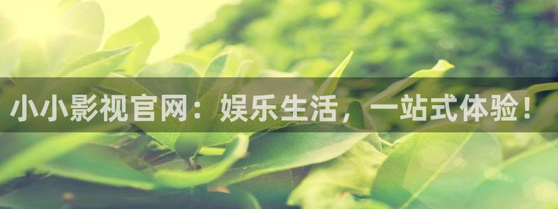 8090伦理影院：小小影视官网：娱乐生活，一站式体验！