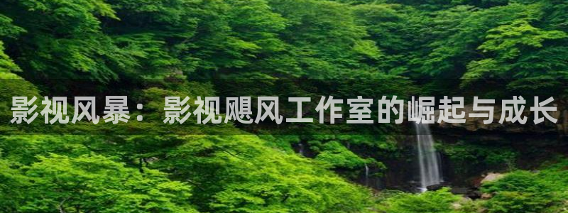 天堂伦理影视：影视风暴：影视飓风工作室的崛起与成长