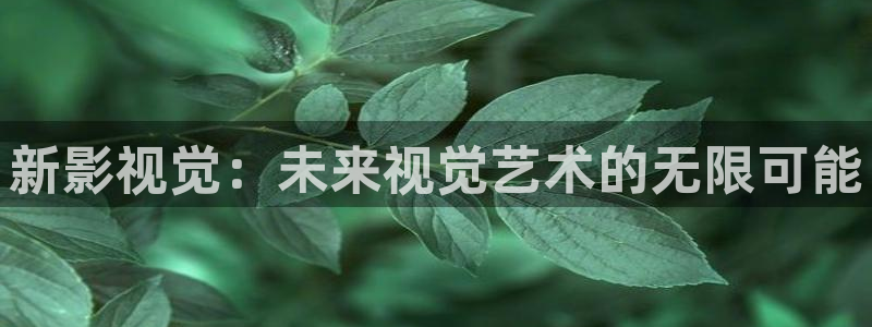 成人伦理视频：新影视觉：未来视觉艺术的无限可能