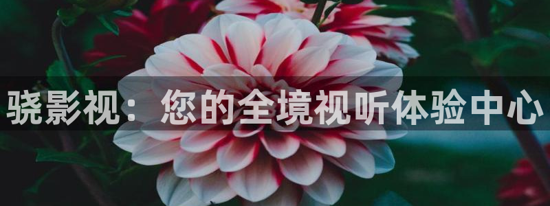 窝窝伦理影院：骁影视：您的全境视听体验中心
