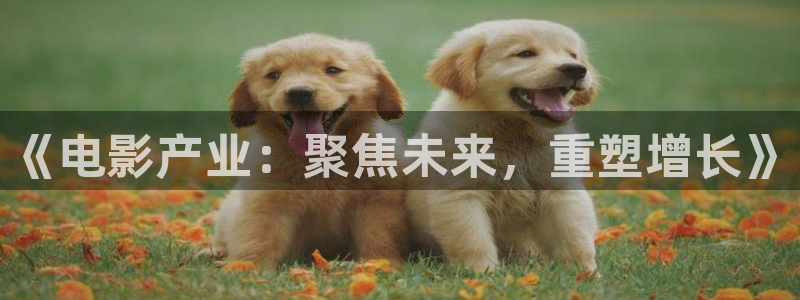 伦理影视在线看：《电影产业：聚焦未来，重塑增长》