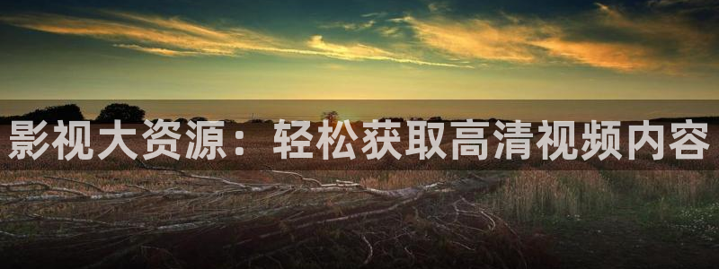 97伦理视频在线观看：影视大资源：轻松获取高清视频内容