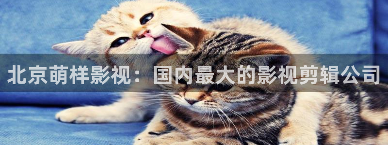 51伦理影院：北京萌样影视：国内最大的影视剪辑公司